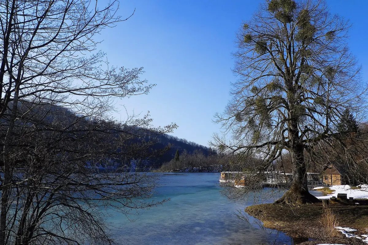 Lake Kozjak in February