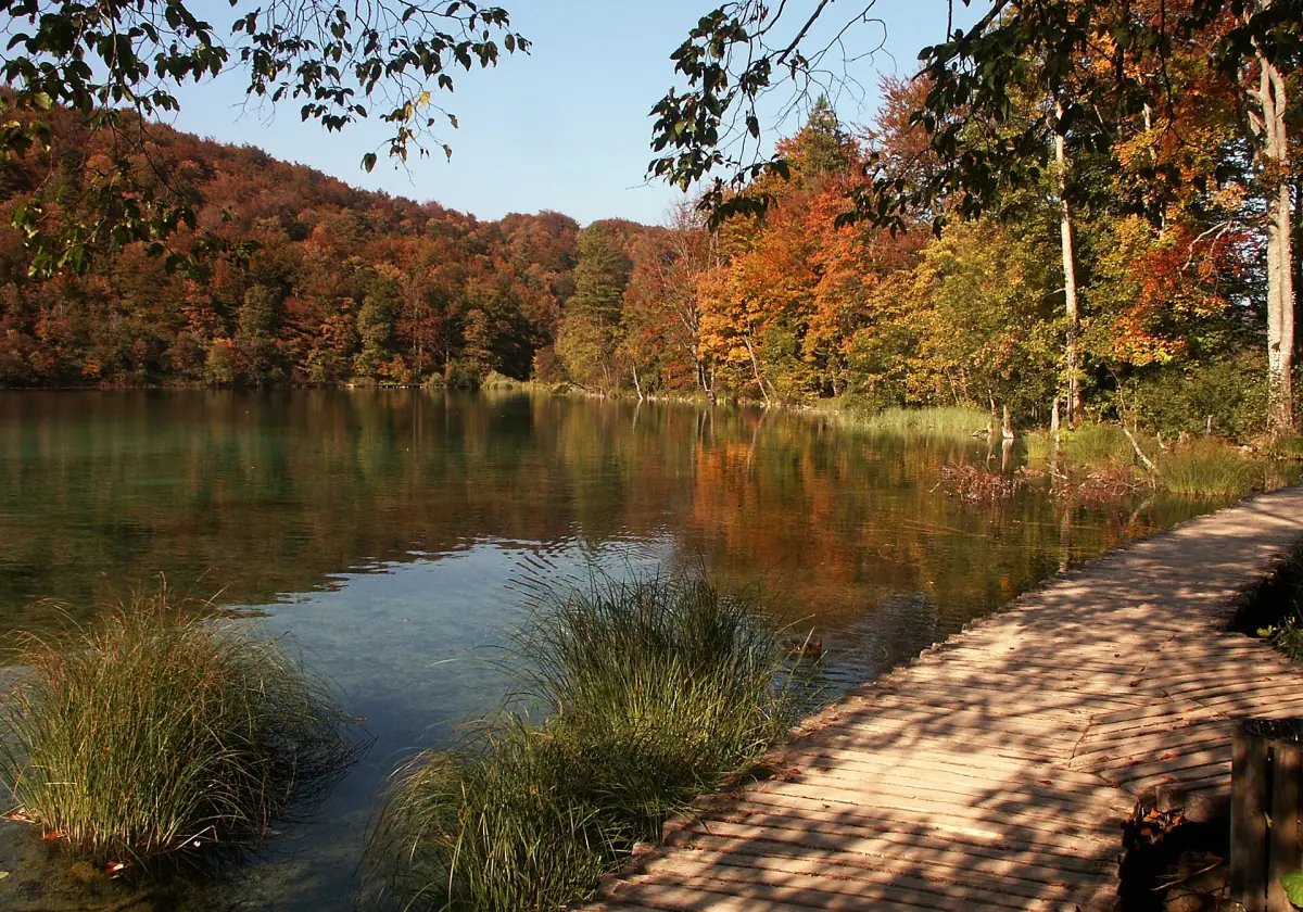 Boardwalk along a lake in autumn
