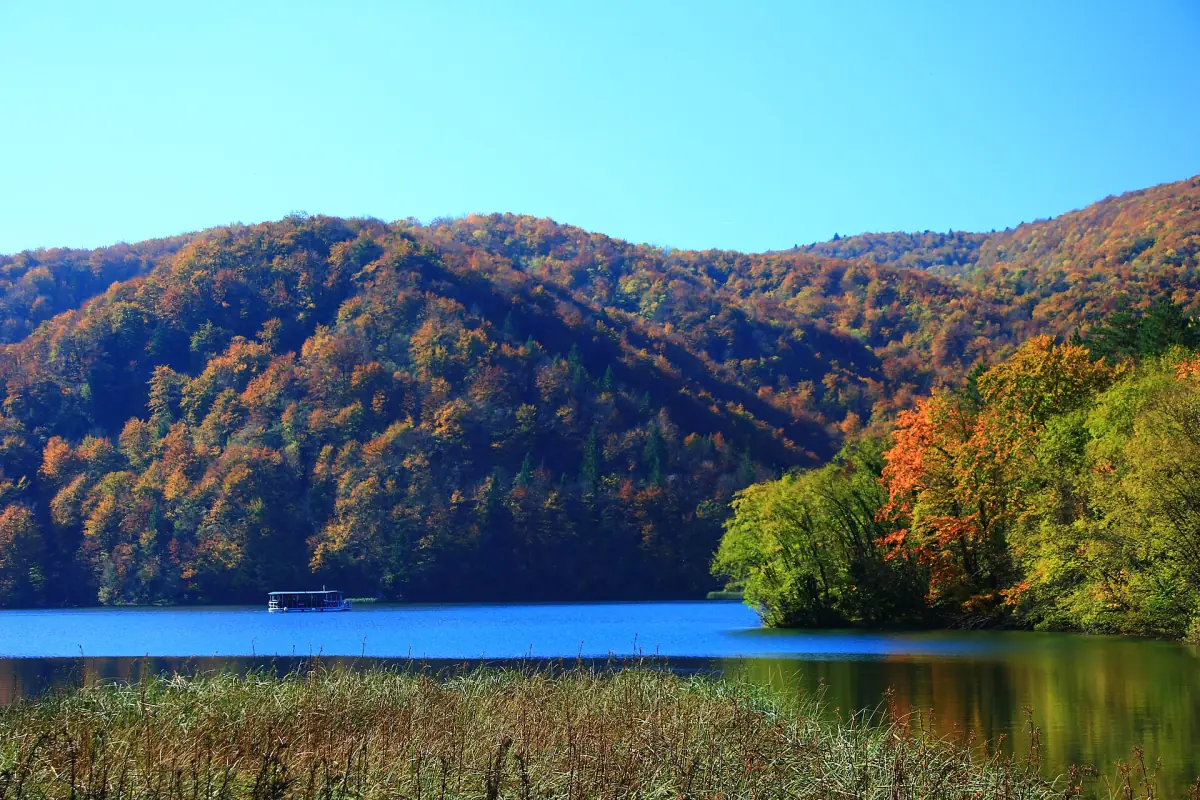 Autumn colours over a lake