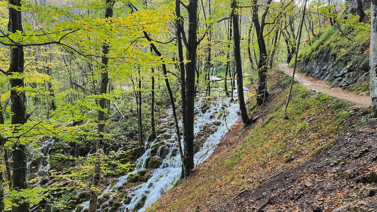 A forest trail above the lakes in autumn