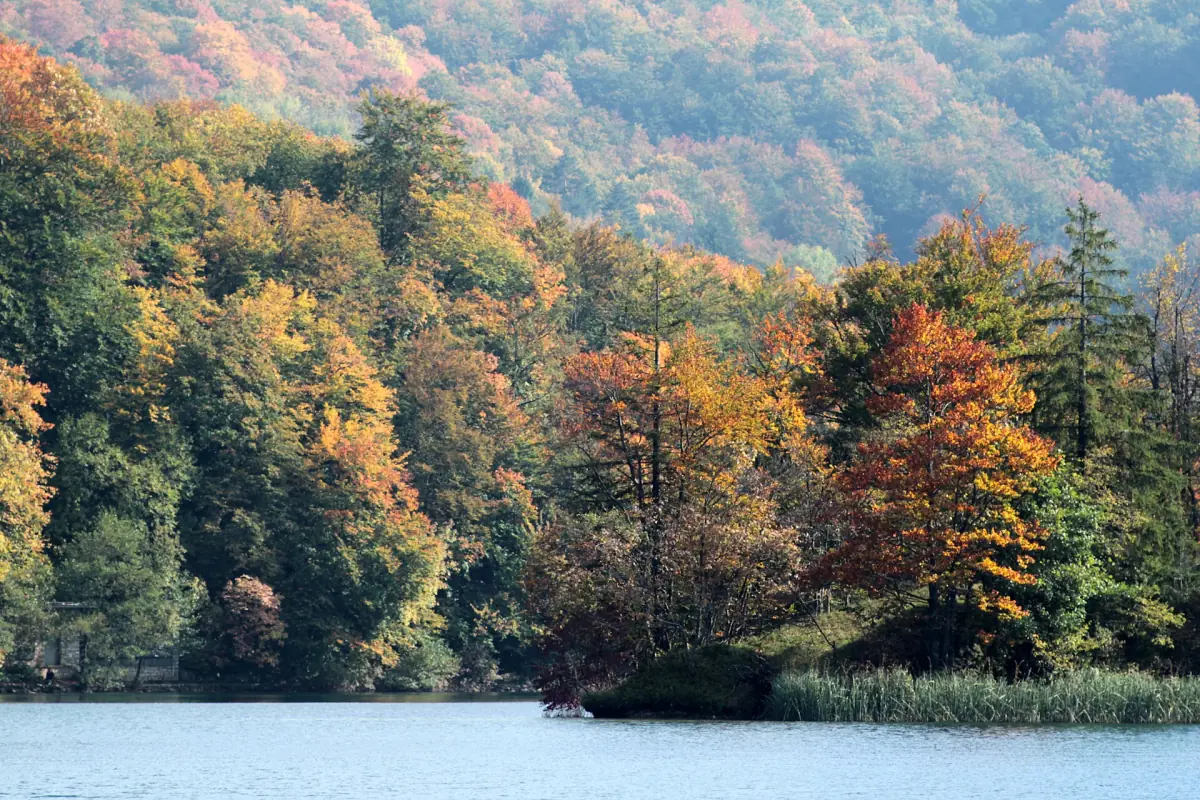Lake and autumn forest