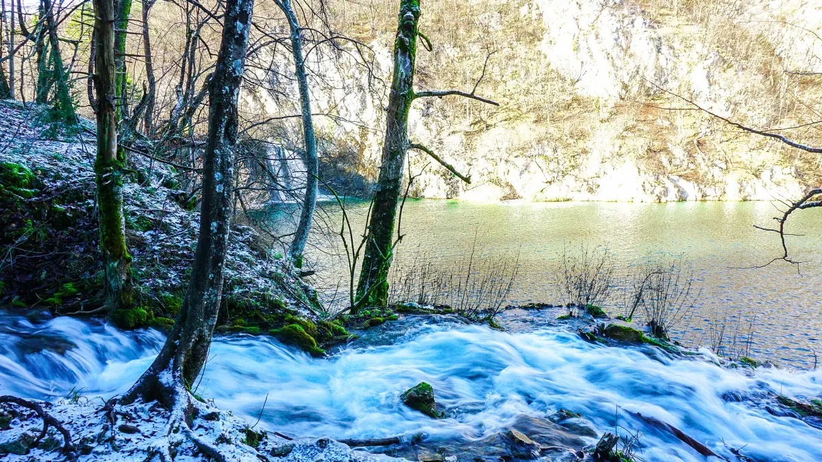A frosted stream in winter